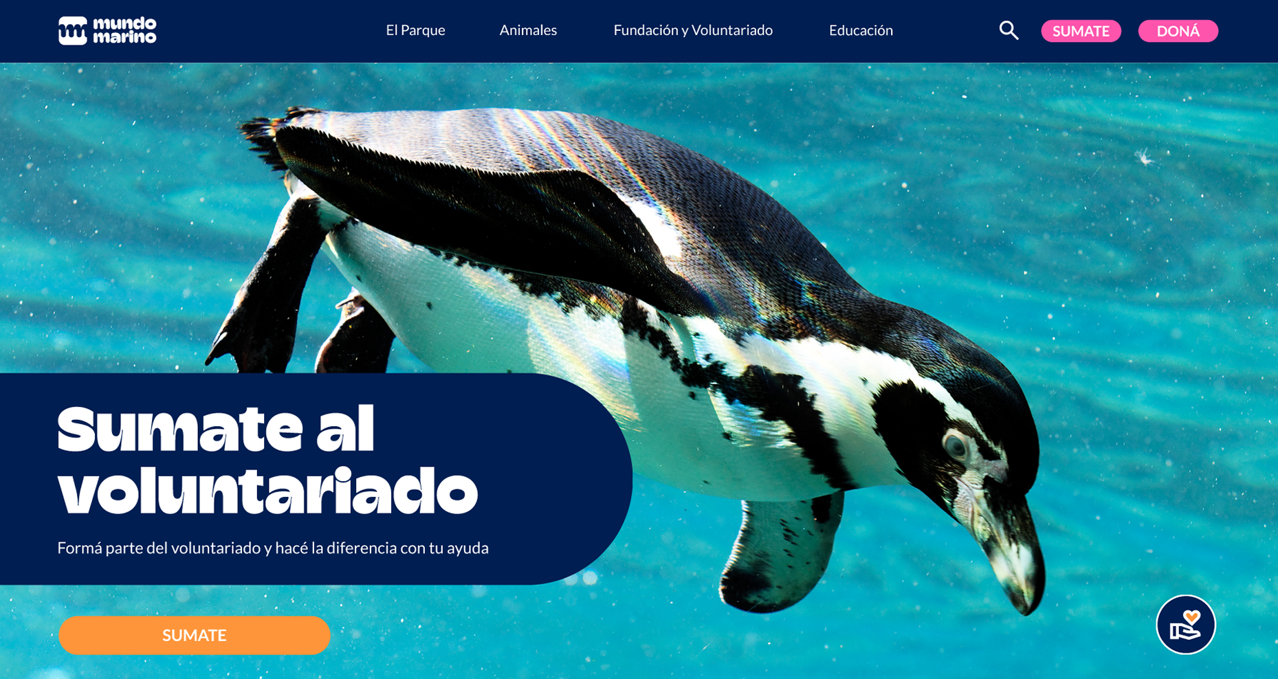 Mundo Marino 1