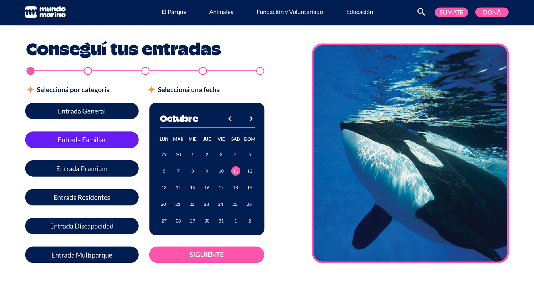 Mundo Marino 1