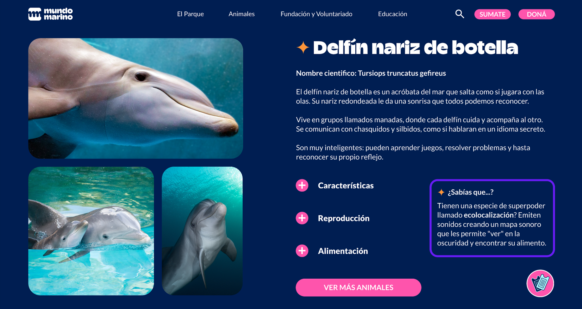 Mundo Marino 1